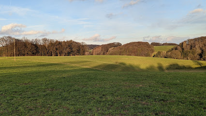 AF1QipOb2xs4dV8jbWQsjYrvOFZhh bI oFESMqL7RP2w426 h240 k no